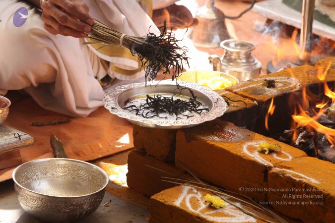 20111228 Photo 1184 1qP6wHdFsbfyWpJstUZfE8pKlF-5cjRyg.JPG