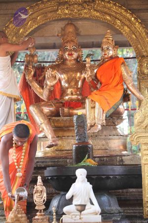 20111228 Photo 1208 1TDSNUV HPfS8vlgO4BwCtyPaAja8jt0K.JPG