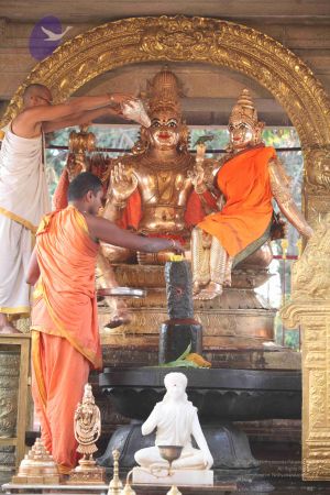 20111228 Photo 1215 1n9Z88FEcnLMiSSPb9IWpRgfC2oy5XUxe.JPG