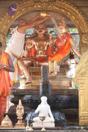 20111228 Photo 1228 1CbemowArDg482Ti3RH0O 4NroDiKvN7A.JPG