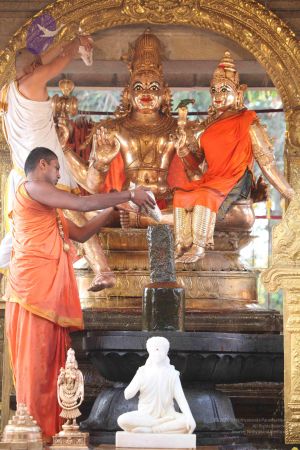 20111228 Photo 1235 1Ir AwEtgDxV6JLdR71Ah0WUNMISdAqzY.JPG