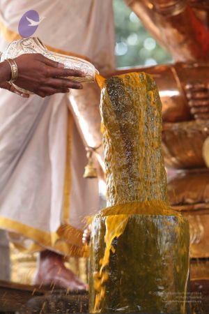 20111228 Photo 1256 1CYktccm7WtLA7CTEMUWpa7DboG5ibPJY.JPG