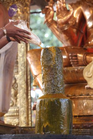 20111228 Photo 1259 1BvEbxdVVdv7naFUYIMCFxy1DyYhJF1L0.JPG