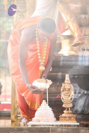 20111228 Photo 1273 126sMQYdVi16OHpgbvtzU7QWhs1M4lqlU.JPG