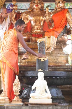 20111228 Photo 1307 1DPeTF9Yj152VuCUIwxeSjZpDtHhyYIDQ.JPG