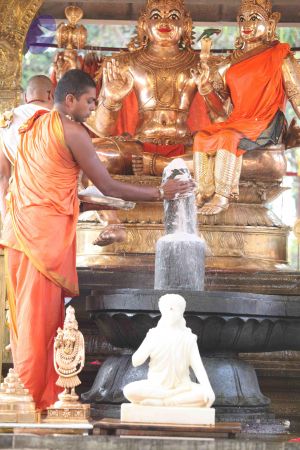 20111228 Photo 1335 1SzBGzhIQkS8DHSsoIdTRUJLi SC WvDx.JPG