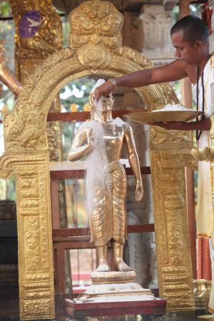 20111228 Photo 1339 17Gn5vvMN3uiesFMnO0HtckWkqinGQtM8.JPG