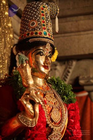 20111228 Photo 1353 1NRabtvFN2FolnFrag8rqzuomTRl 0S6U.JPG