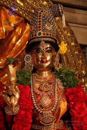 20111228 Photo 1357 1Vo3hlxVvAnwgaUQXnzoNrB8QbzIK03AP.JPG