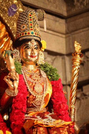 20111228 Photo 1382 14cVDI3VzASv7b7xjjjZhjfw85Vxo2QTc.JPG