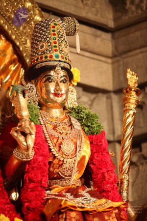 20111228 Photo 1383 1B0RSOURPHGsLMdPWF7UUcxdDTNA-Uz41.JPG