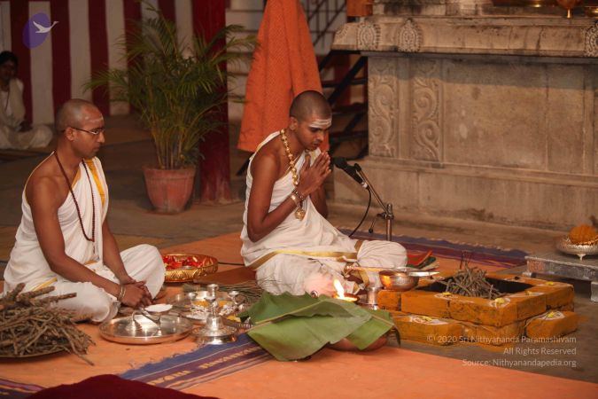 20111228 Photo 1396 1gpoDinWrTGIFqXwVTCCYDqtfaq99tR-G.JPG