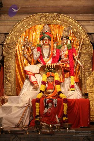 20111228 Photo 1402 1YBulf2VTe-JvXtiZxVr17Af3zVsY4S T.JPG