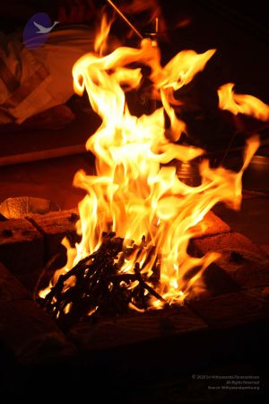 20111228 Photo 1423 1BGeXW31MoYPbr2iarRnGcEJiPzV0PmqB.JPG