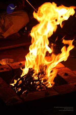 20111228 Photo 1424 10rIzEE4O8BZFDFq6EbhMOfwC43Y9WlCY.JPG