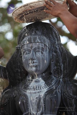 20111228 Photo 1503 1Kp4-9jQ00pDwxa1y y88VbDvrcYGRzu .JPG