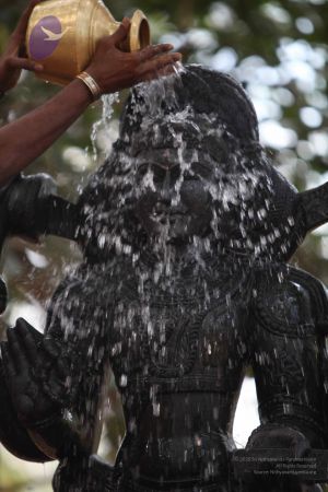 20111228 Photo 1507 1FJ1jtmFzXAk6m1ERL299H4psPtZ6p4 R.JPG