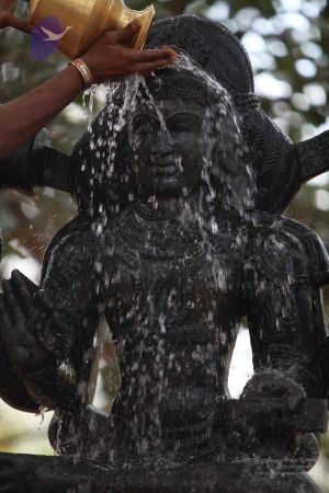 20111228 Photo 1508 1GZ9QX42hsYDPjXuQazHr1E1yLa2zEl8a.JPG