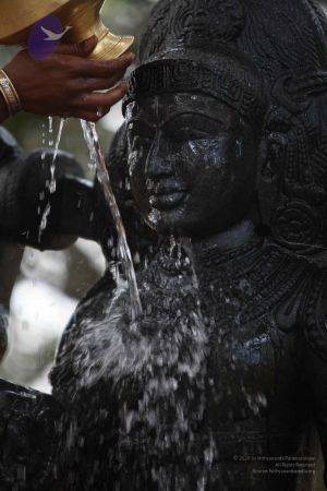 20111228 Photo 1518 1NC4sLdaMvPUOAV1VxBgDM pxcNxzxKJW.JPG