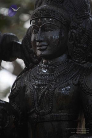 20111228 Photo 1519 1K2TQyecXV9TZ81ItGyVwB47GVlvl lNr.JPG