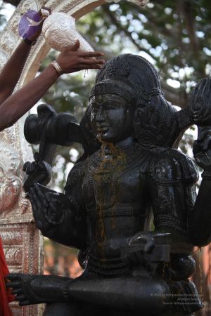 20111228 Photo 1525 1XFQqbMpbHA3t0bDicZn D9sp GO2ptGx.JPG