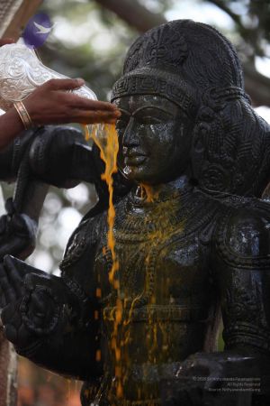 20111228 Photo 1531 1WxXtfsf5p8rMq6Bkeup7GvT9EcTyAyc8.JPG