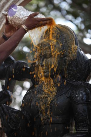 20111228 Photo 1538 1zZSKlkz02isYSOuazruDIZvPssYtt-gu.JPG