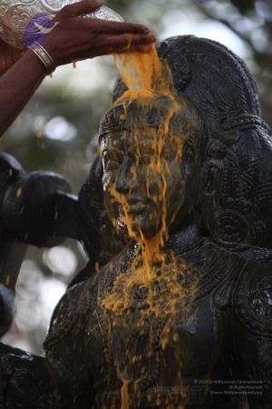 20111228 Photo 1540 1kpf6nV4P7HbnLLKGsEcvlJET7kuLiOB-.JPG