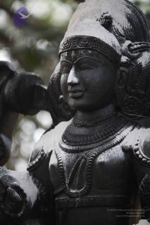 20111228 Photo 1546 1M5yxBiuw-6CQ3UxT5jhFNojXZVTRJWU-.JPG