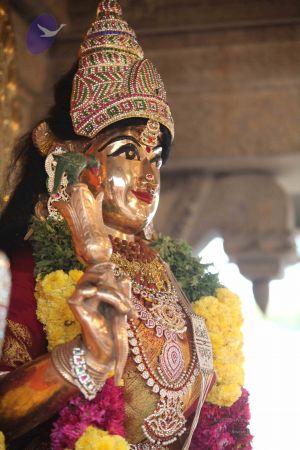 20111231 Photo 1036 1GI8ov6I9ZlV82mEzWn7A- ULJQKAbHSI.JPG