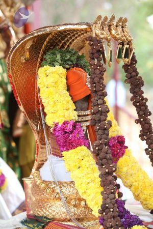 20111231 Photo 1037 1b3ogBqRUNQRvkhK3mEmY4RsC8TxwOWBP.JPG