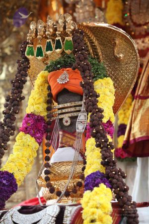 20111231 Photo 1046 1QBwdJ49Ze61JdEIWYi8FcVQBeEepeIvz.JPG