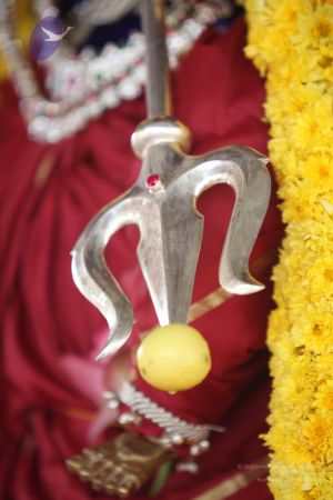 20111231 Photo 1274 1bxuSgAVQiD92J hs46qBdpML21Tru1Ln.JPG