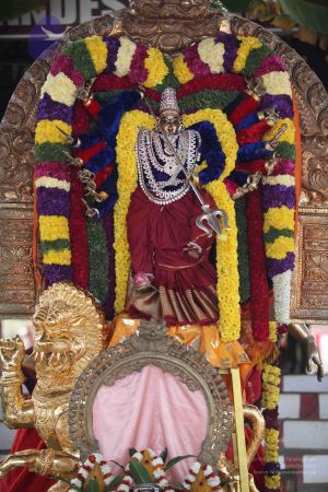 20111231 Photo 1287 10s4L3yLm3ARsG0wCeTxRwNuPEt2UpA8h.JPG