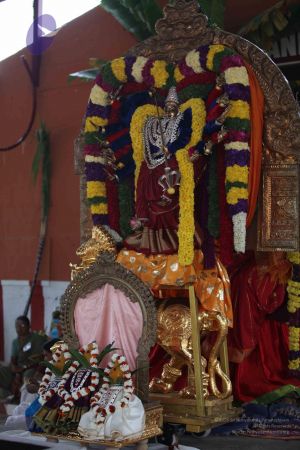 20111231 Photo 1302 1-N-3enZ6tz VUZZxSMavLNnR-82VmPSS.JPG