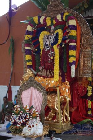 20111231 Photo 1303 1lEjsA-8rRaLovrdwSxA G4nTesiVcYUP.JPG