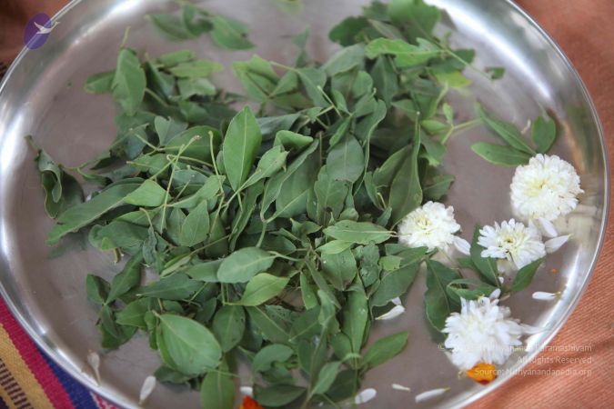 20111231 Photo 1308 1BdYmntbd1CEl1ArQ2Al8OihdAGGvmKSr.JPG