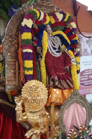 20111231 Photo 1311 1ox-ZJuo5jztScHjCMMV2D0WoE-SUUDDY.JPG