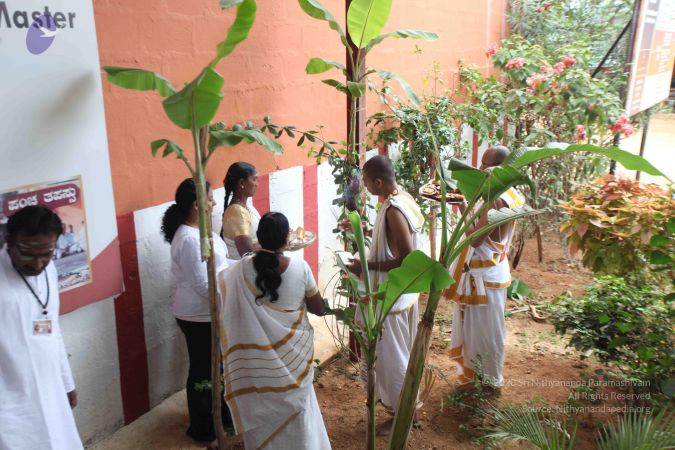 20111231 Photo 1325 1559EjqpaD-ancAGkP4srLtlCzHtfmu5J.JPG