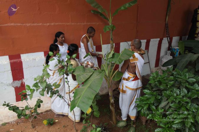 20111231 Photo 1332 1pQmqKVor9-nUnHFMhtxDqWxVulyfS17H.JPG