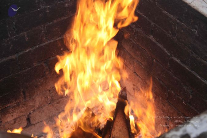 20111231 Photo 1392 19uBtwV31NP4CSVd0vWbX4QrS7Z-bDF2C.JPG