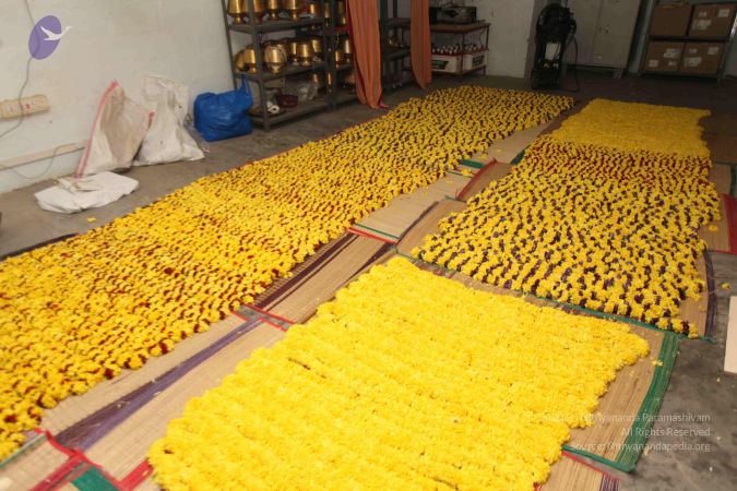 20111231 Photo 1415 1zRB0TQYqd55OjEWC2VSof2D57ZilEDr5.JPG