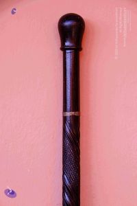 2011 PhotoAbum Walkingstick 7492 CMP WM.jpg