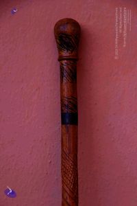 2011 PhotoAbum Walkingstick 7499 CMP WM.jpg