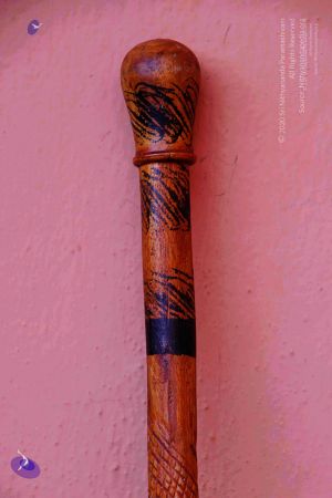 2011 PhotoAbum Walkingstick 7500 CMP WM.jpg