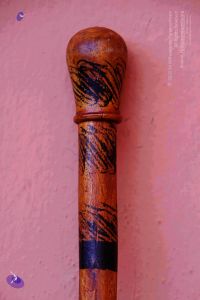 2011 PhotoAbum Walkingstick 7501 CMP WM.jpg