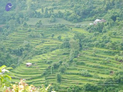 2011 glimpses kailashyatra 000057 CMP WM.jpg