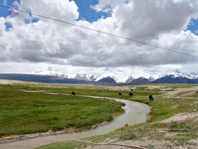 2011 glimpses kailashyatra 000469 CMP WM.jpg