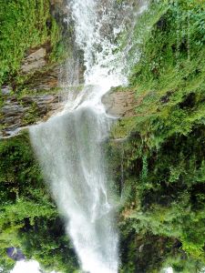 2011 glimpses kailashyatra 020235 CMP WM.jpg