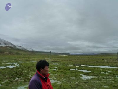 2011 glimpses kailashyatra 020327 CMP WM.jpg